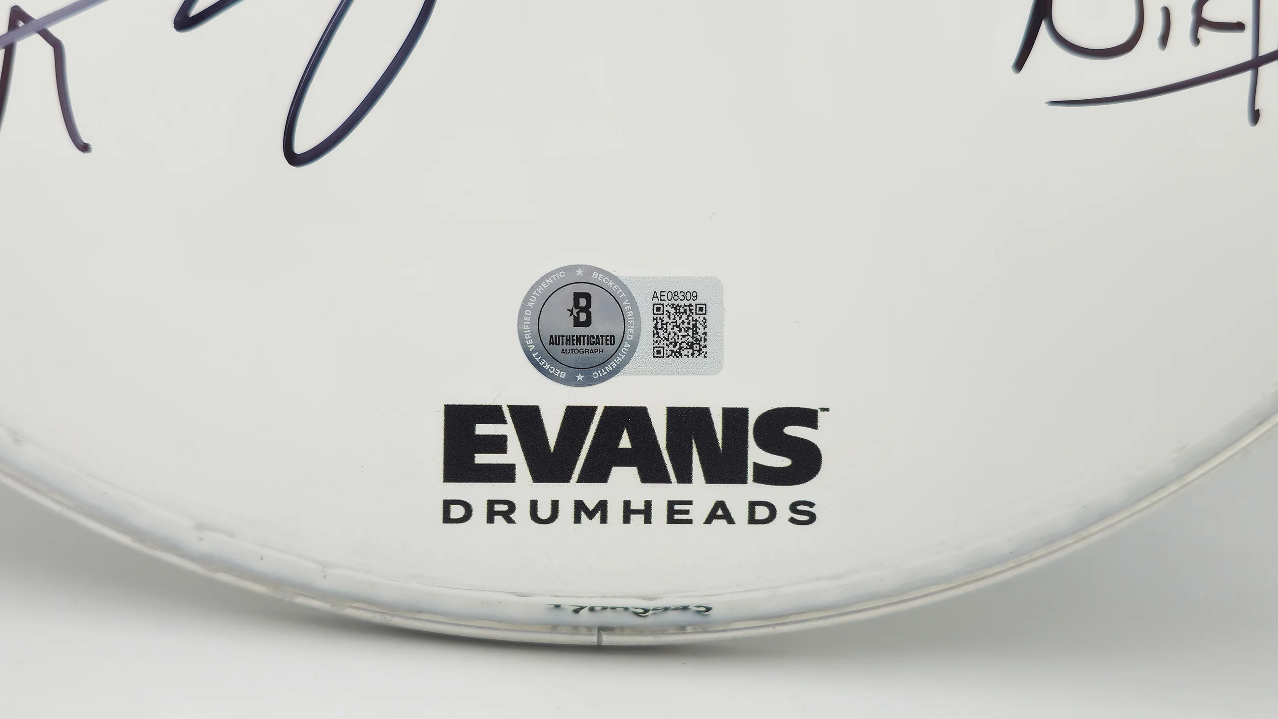Bush Autographed Drumhead Signed By All 4 Band Members Including Gavin Rossdale Beckett BAS Stock #237003 - Image 5
