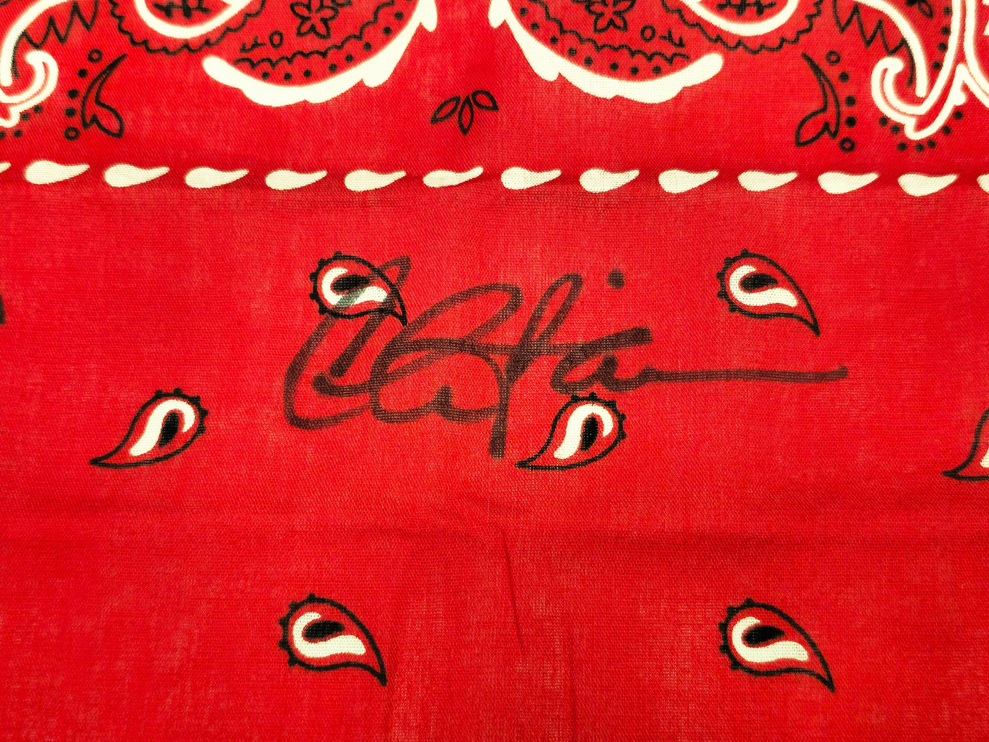 Charlie Sheen Autographed 19x21 Bandana Major League Ricky 'Wild Thing' Vaughn Beckett BAS Witness Stock #232866 - Image 2