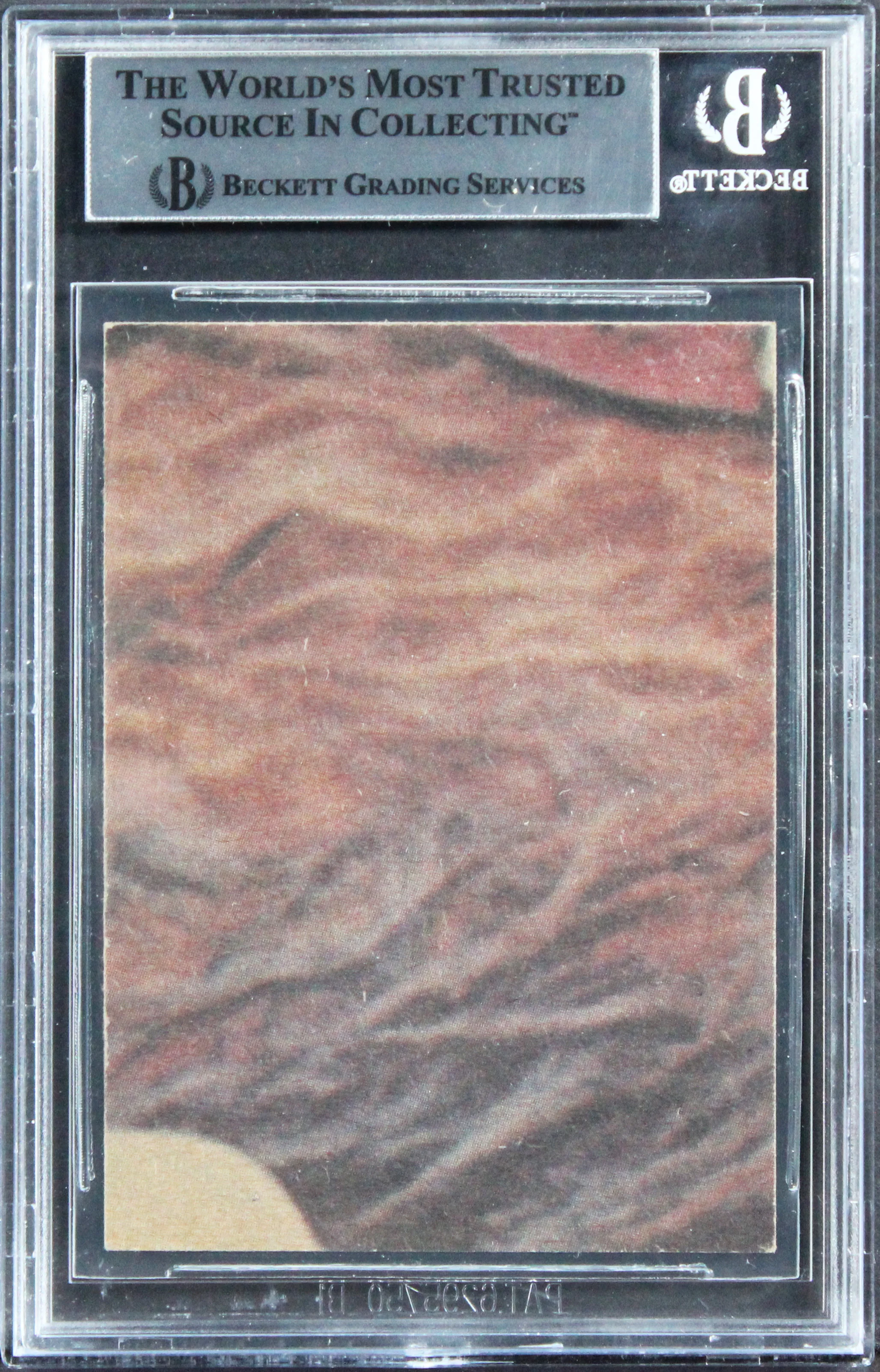 David Prowse & Terry McGovern "w/ Insc" Signed 1977 Star Wars #237 Card BAS Slab - Image 3