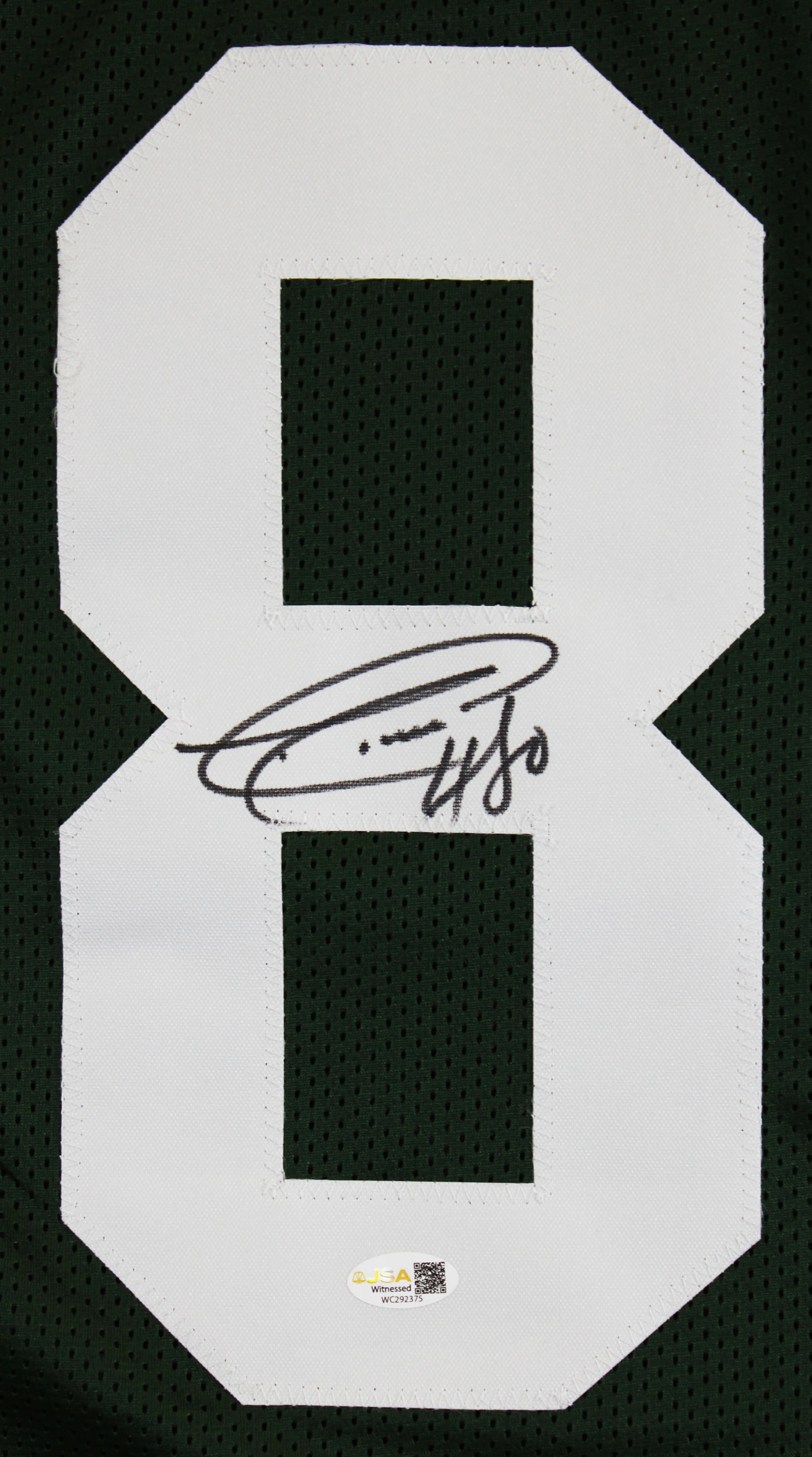 Donald Driver Authentic Signed Green Pro Style Framed Jersey JSA Witness - Image 3