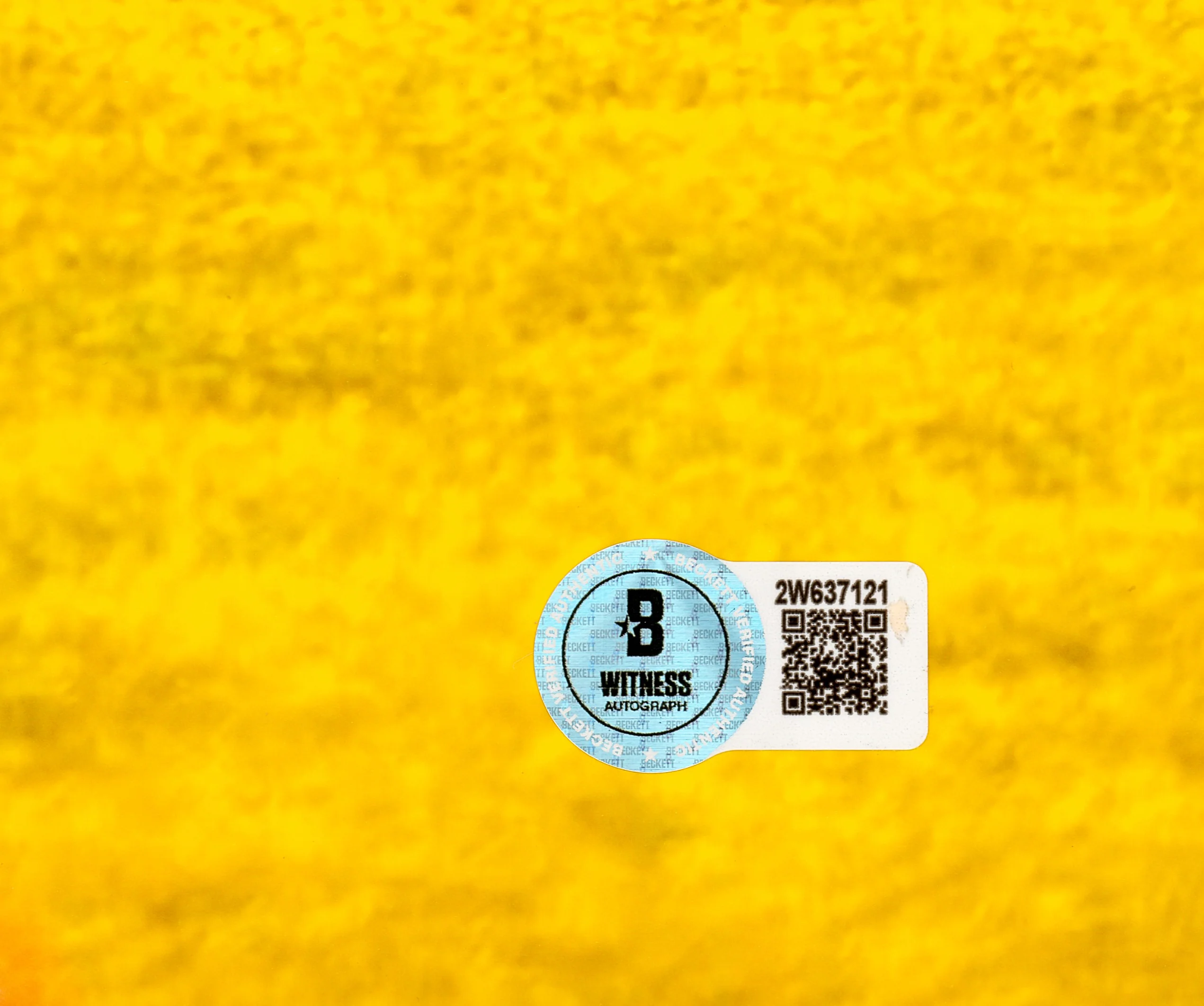 James Harrison Autographed 16x20 Photo Pittsburgh Steelers Super Bowl XLIII Interception Return Touchdown Beckett BAS Witness Stock #241382 - Image 3