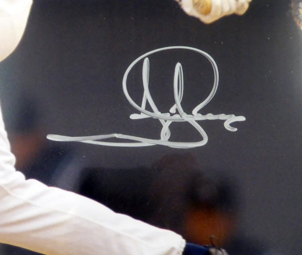 Jay Buhner Autographed Framed 16x20 Photo Seattle Mariners MCS Holo Stock #107775
