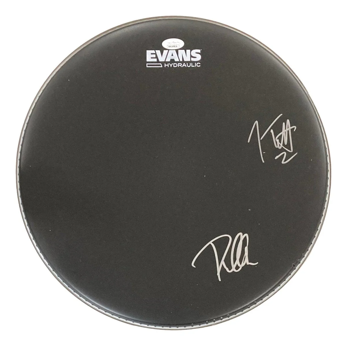Joe Elliott Phil Collen Def Leppard Signed 15" Black Evans Drum Head JSA Holo