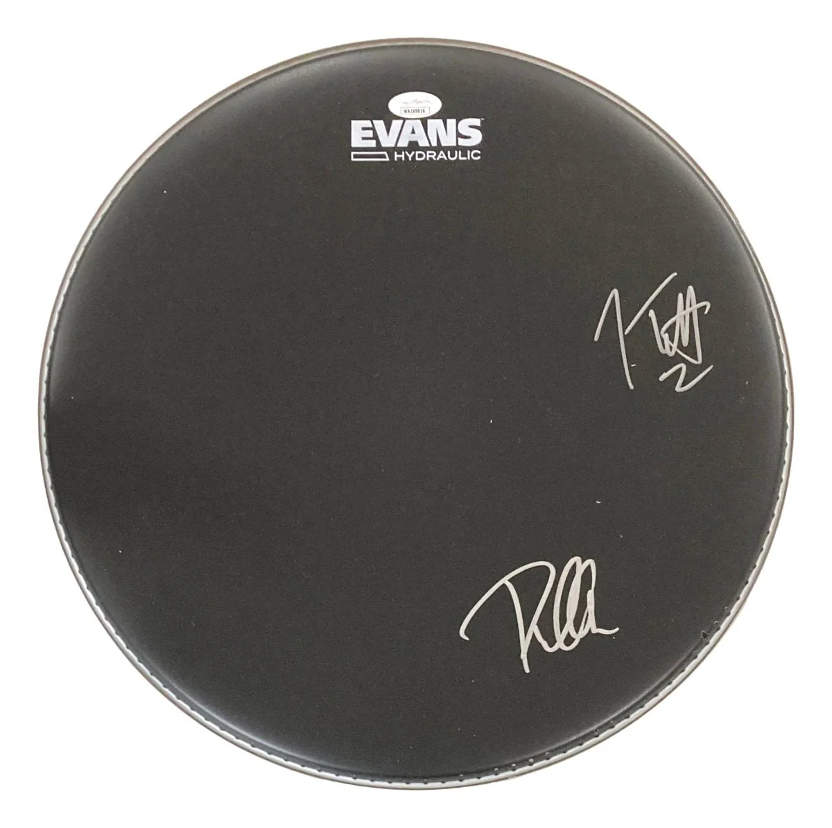 Joe Elliott Phil Collen Def Leppard Signed 15" Black Evans Drum Head JSA Holo - Image 4