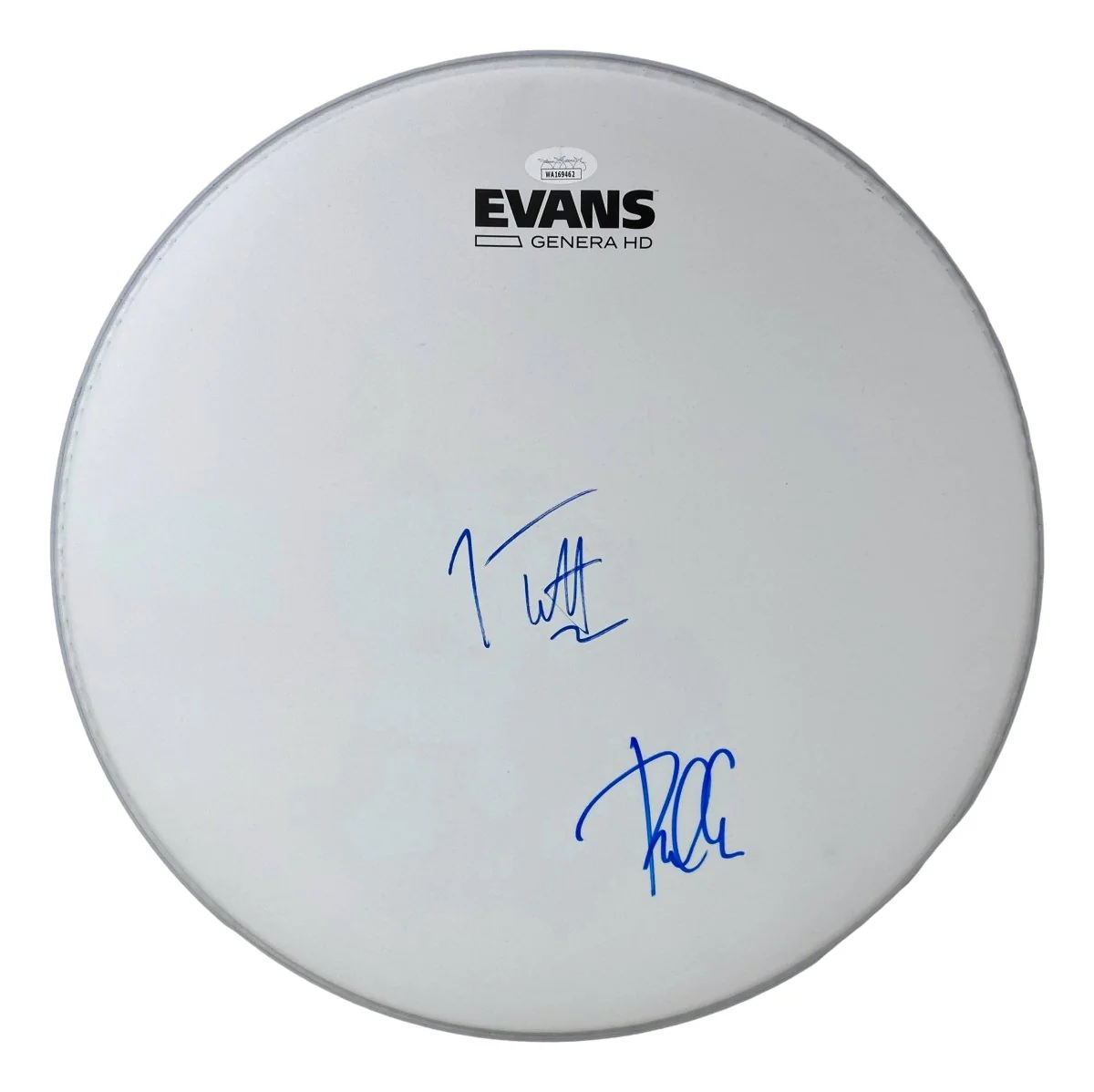 Joe Elliott Phil Collen Def Leppard Signed 15" Flt White Evans Drum Head JSA ITP