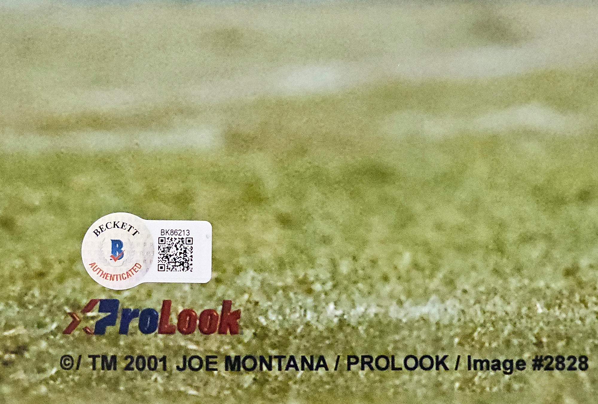 Joe Montana Autographed 16x20 Photo San Francisco 49ers Beckett BAS QR Stock #221162 - Image 3