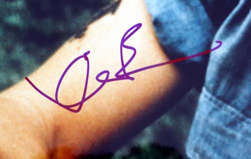 Kevin Bacon Autographed 16x20 Photo PSA/DNA #T14473 - Image 2