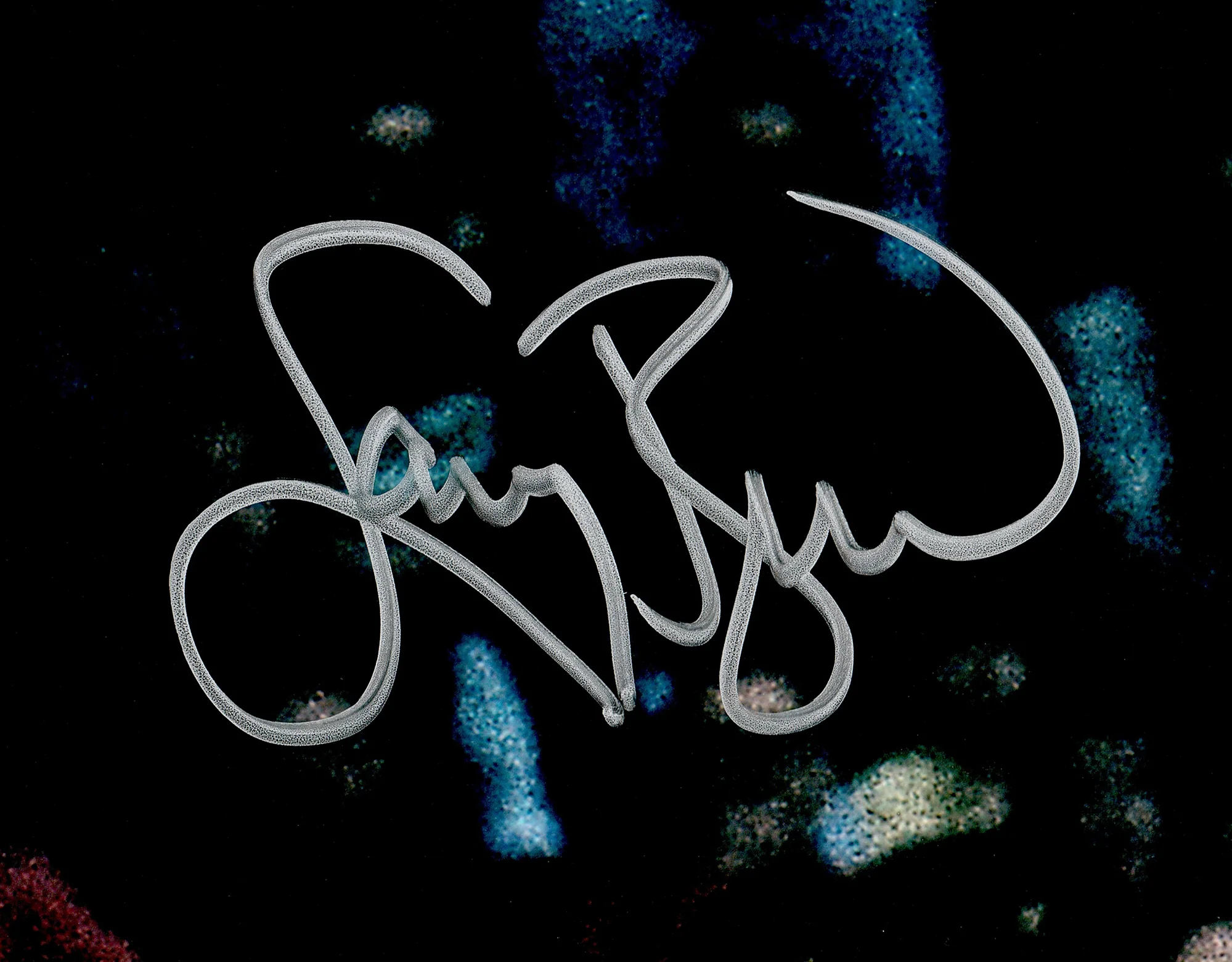 Larry Bird Autographed 16x20 Photo Boston Celtics Beckett BAS Witness Stock #232712 - Image 2