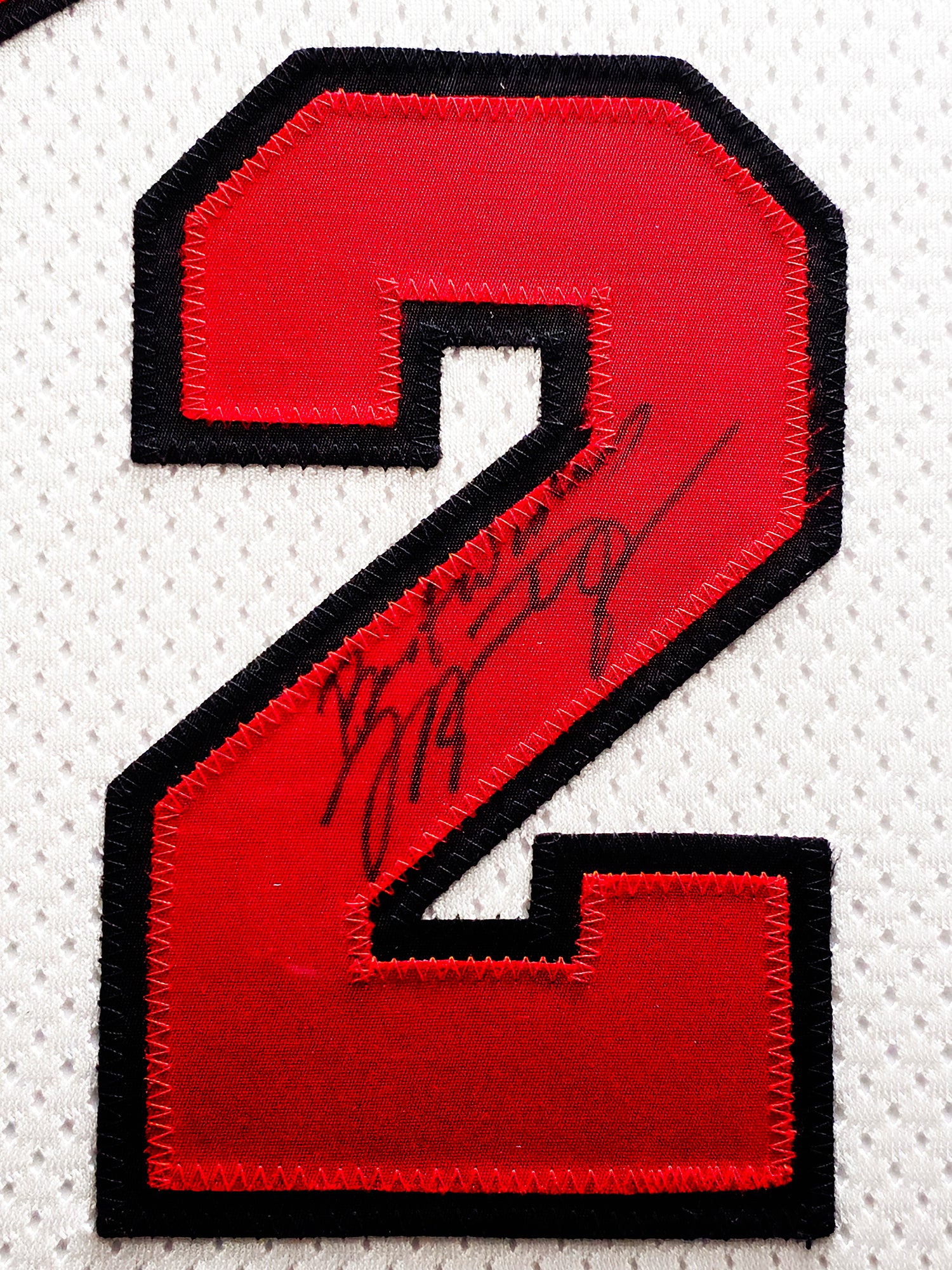 Michael Jordan Autographed Framed White Nike Jersey Chicago Bulls "Best Wishes" JSA #YY39497 - Image 3