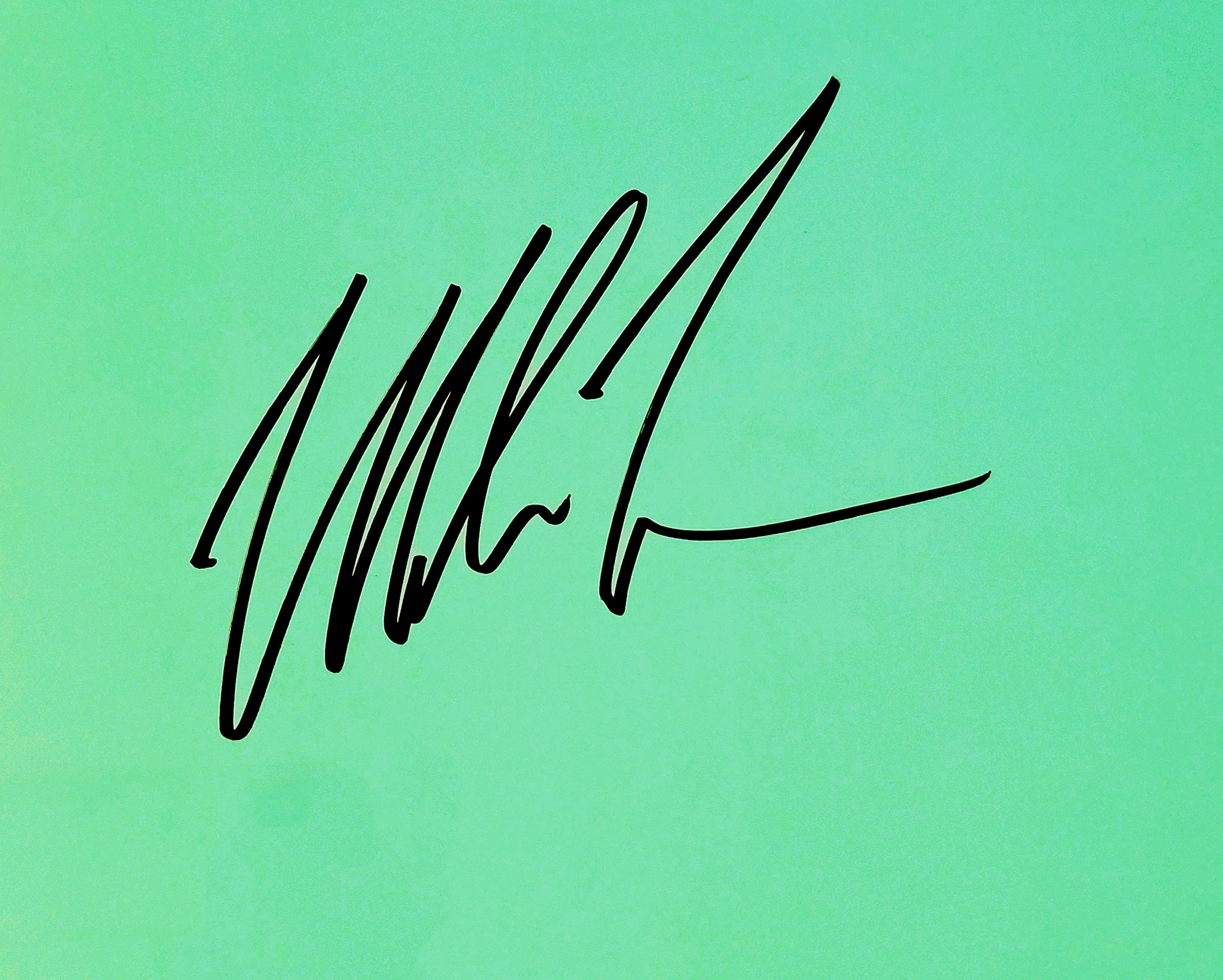 Mike Tyson Autographed 16x20 Photo Punch-Out In Black Beckett BAS Stock #207571 - Image 2