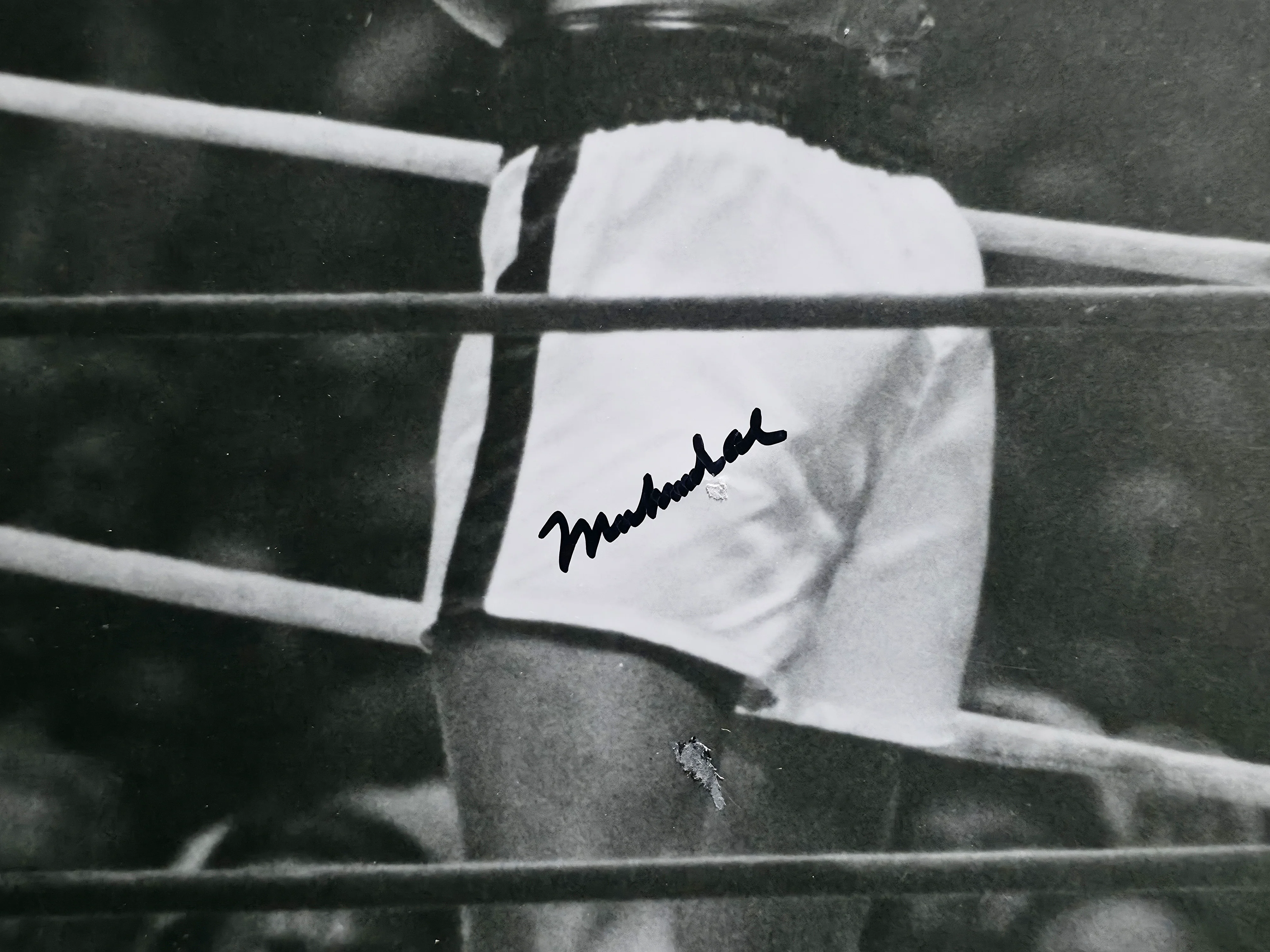 Muhammad Ali & Joe Frazier Autographed Framed 16x20 Photo JSA #X98149 - Image 3