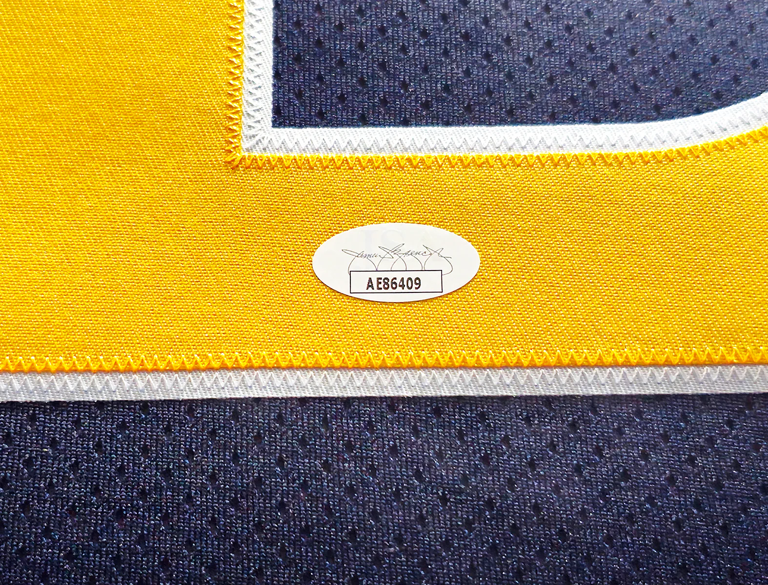 Murray State Racers Ja Morant Autographed Framed Blue Retro Brand Jersey JSA Stock #212662 - Image 4