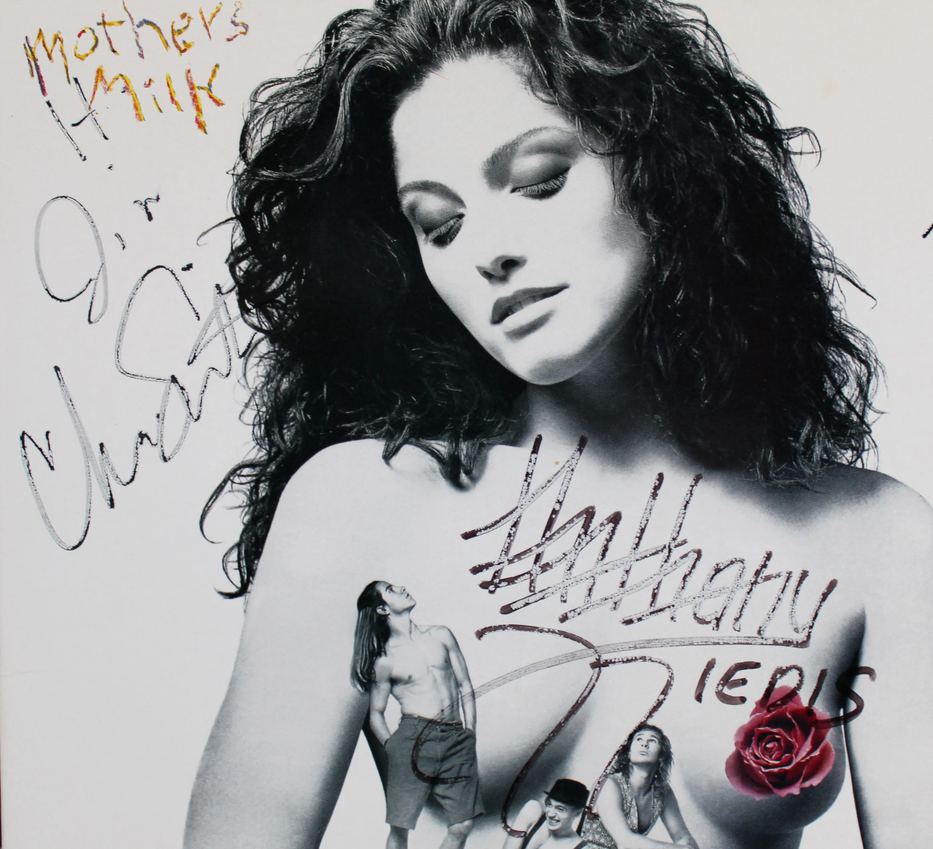 RHCP (4) Kiedis, Flea, Smith, & Frusciante Signed Mother's Milk Album Cover BAS - Image 3