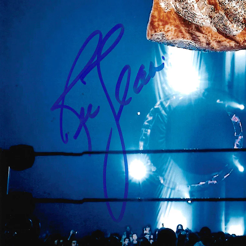 Ric Flair Autographed 11x14 Photo JSA Stock #203596 - Image 2