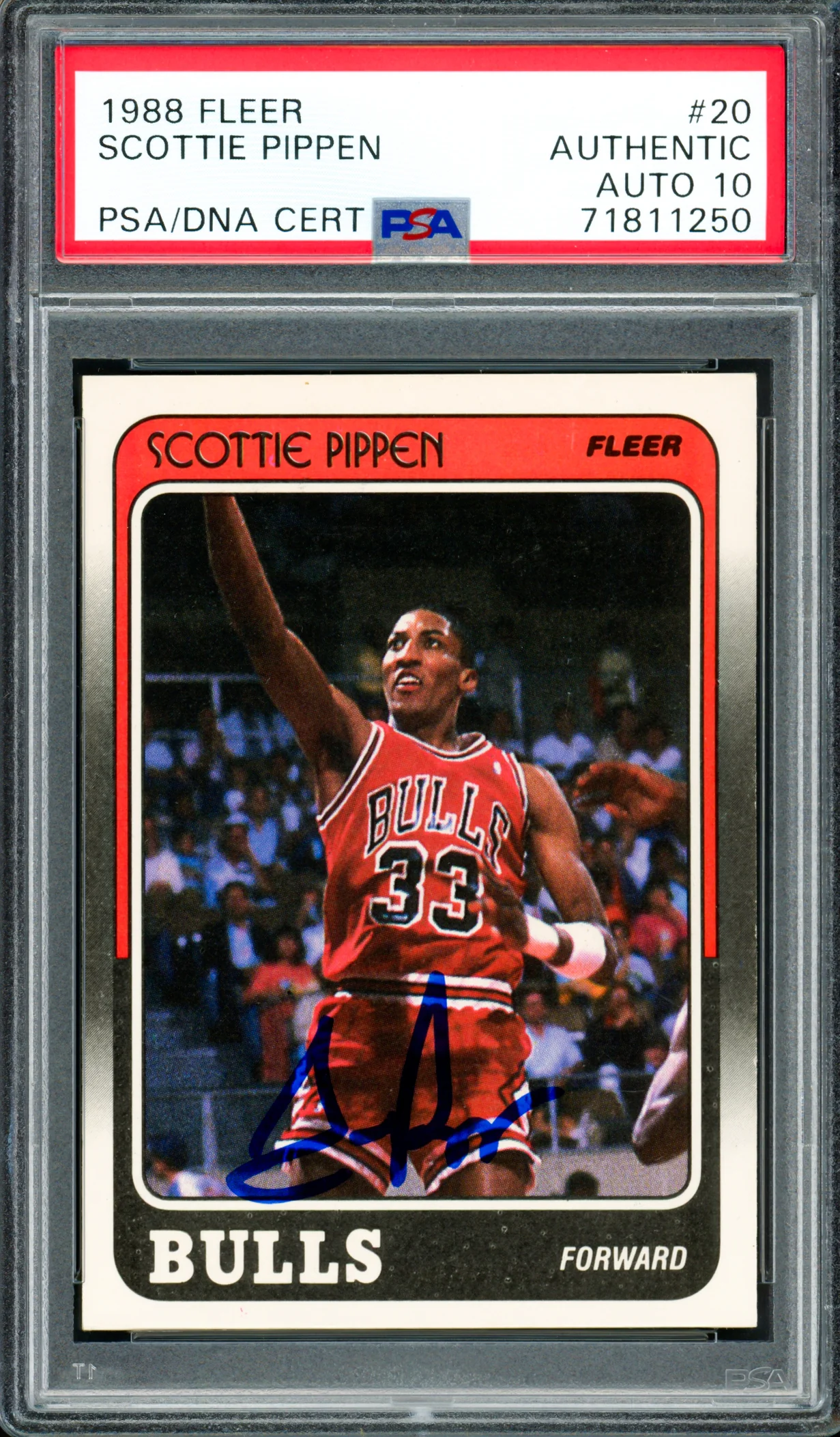 Scottie Pippen Autographed 1988 Fleer Rookie Card #20 Auto Grade Gem Mint 10 PSA/DNA #71811250