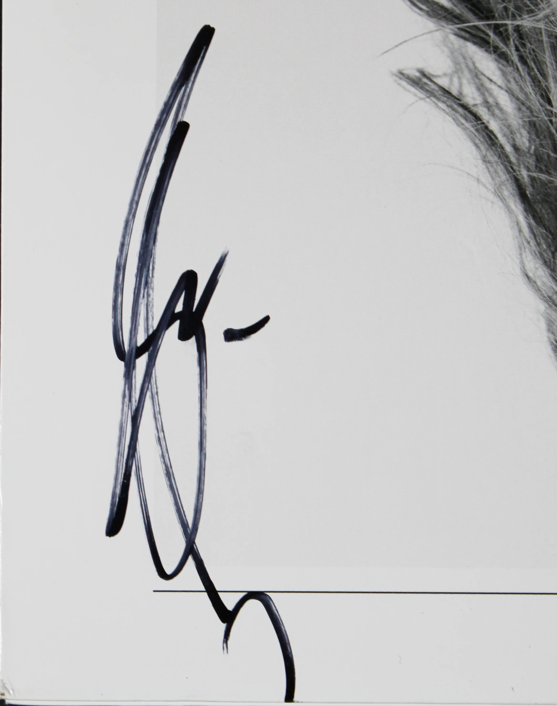 Shania Twain Authentic Signed Now Album Cover JSA #CF71376 - Image 3