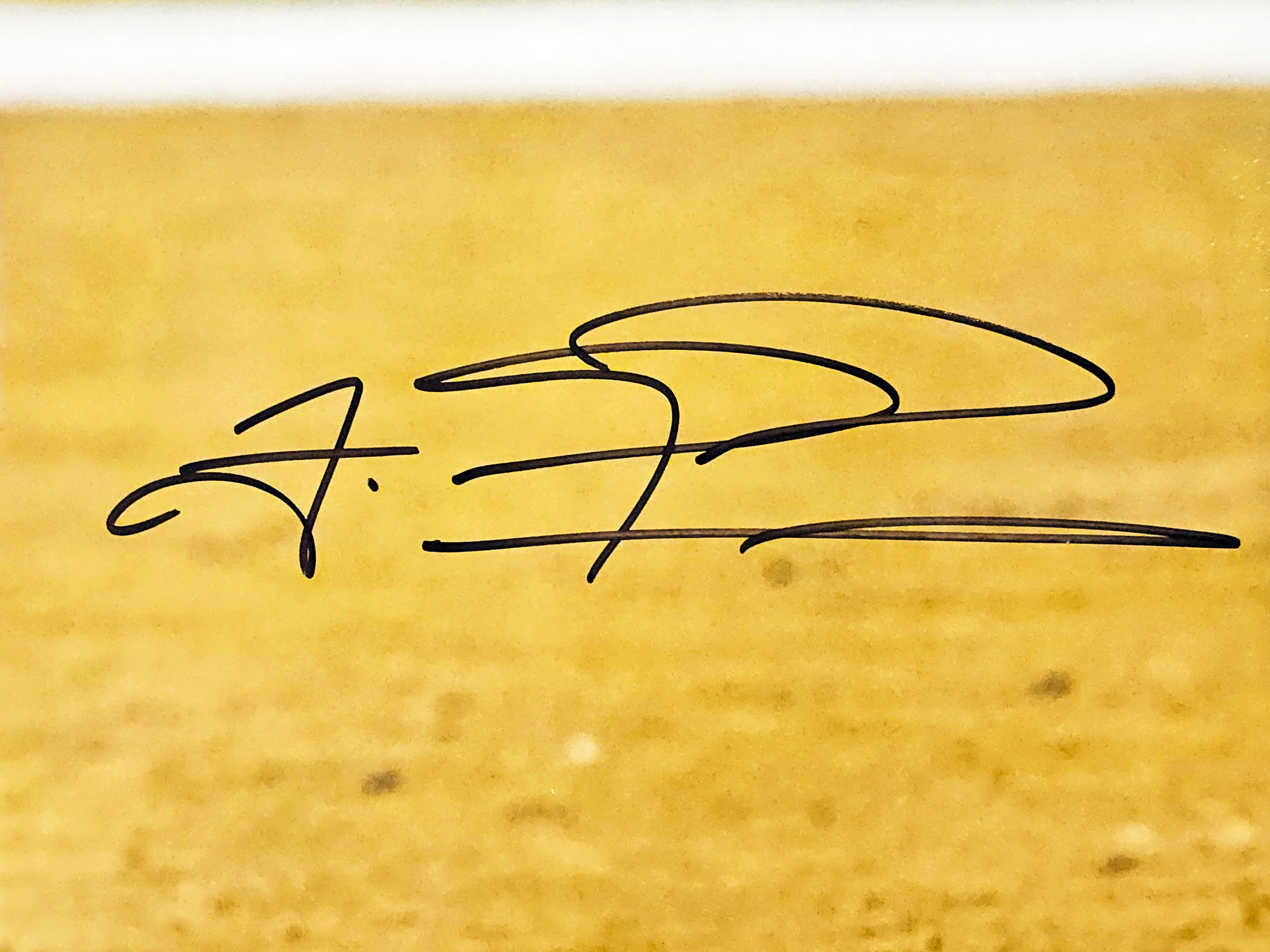 Tua Tagovailoa Autographed 16x20 Photo Miami Dolphins Fanatics Holo Stock #220690 - Image 2