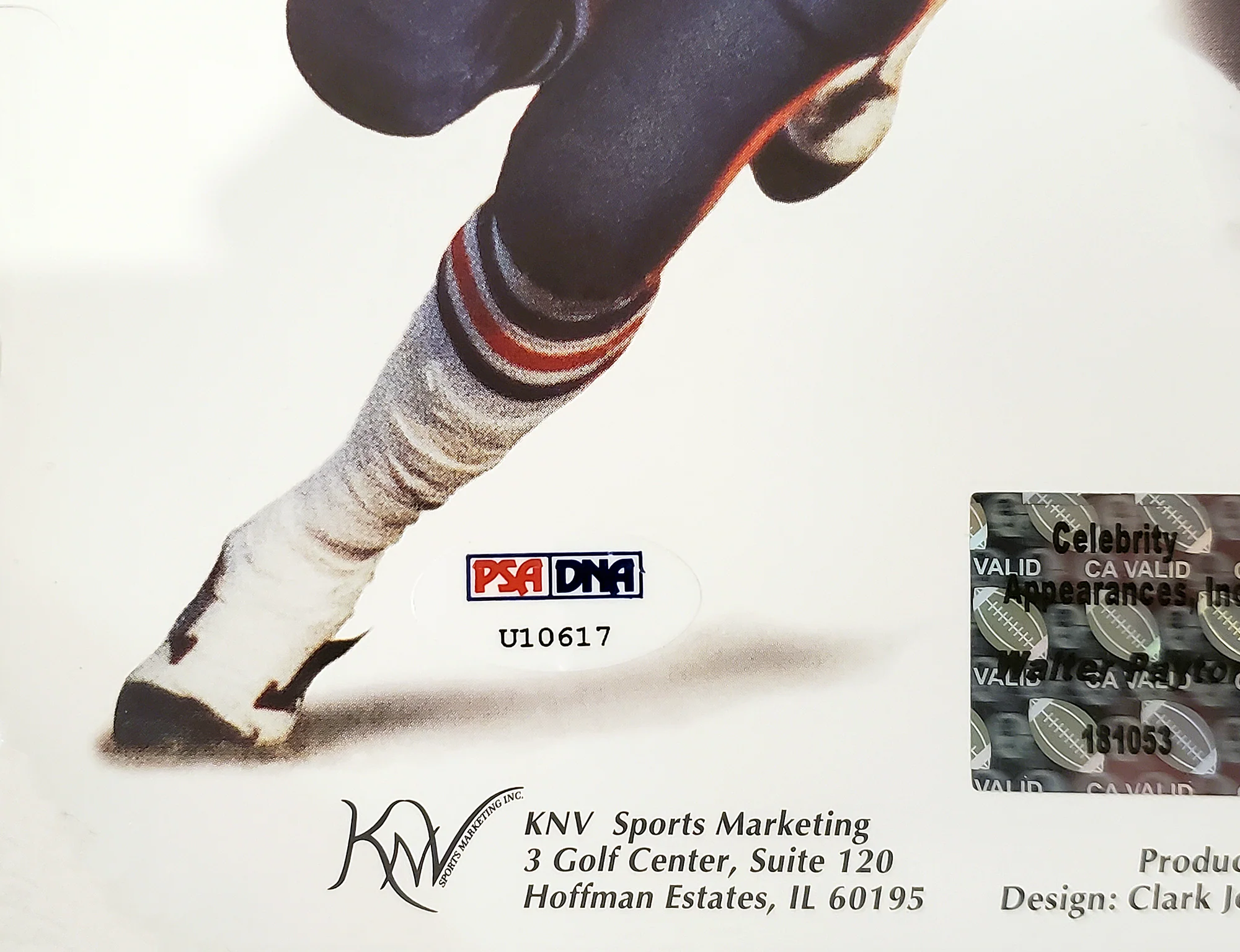 Walter Payton Autographed Framed 16x20 Photo Chicago Bears PSA/DNA Stock #256670 - Image 4