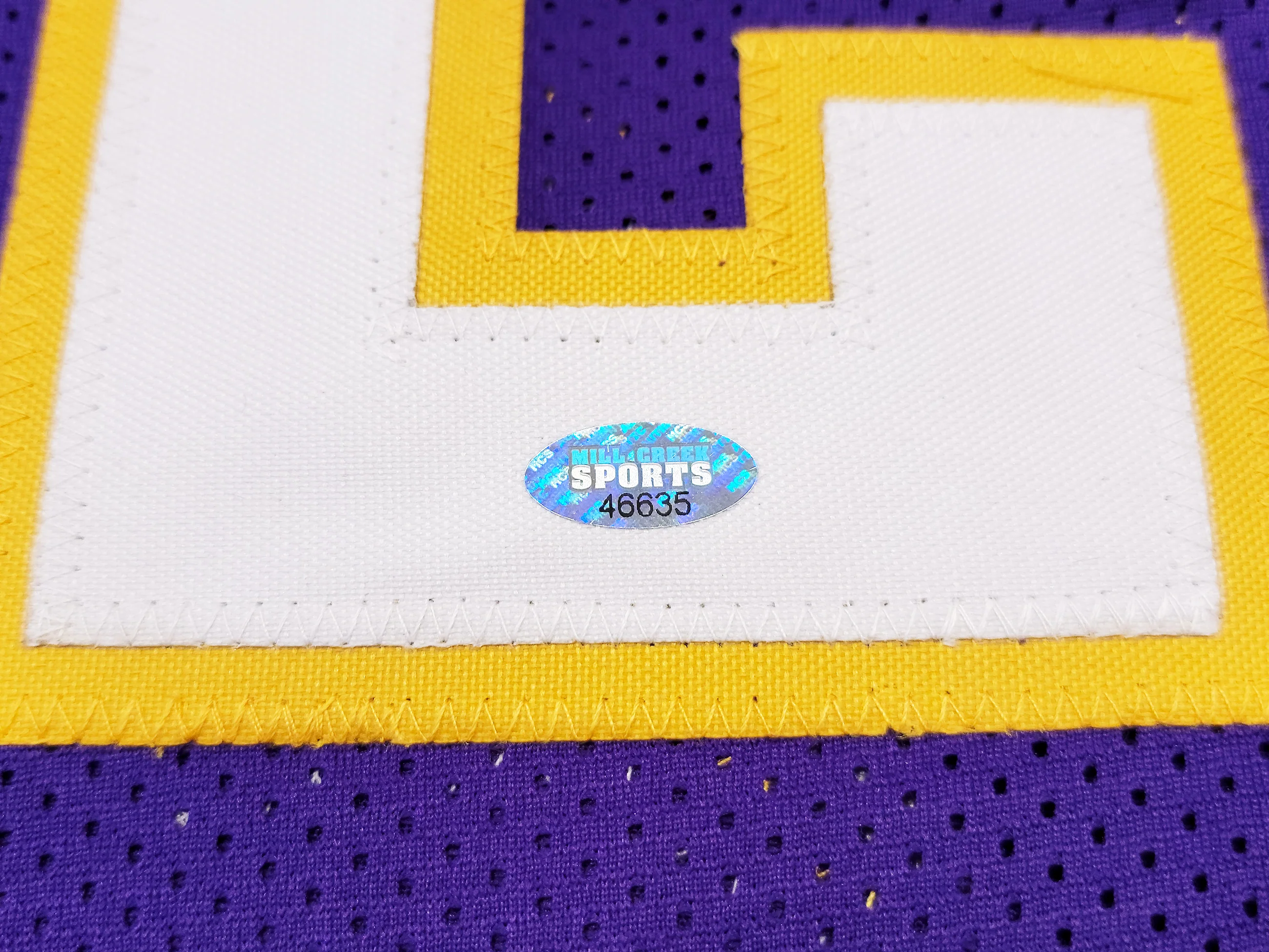 Washington Huskies Detlef Schrempf Autographed Purple Jersey MCS Holo Stock #202423 - Image 5