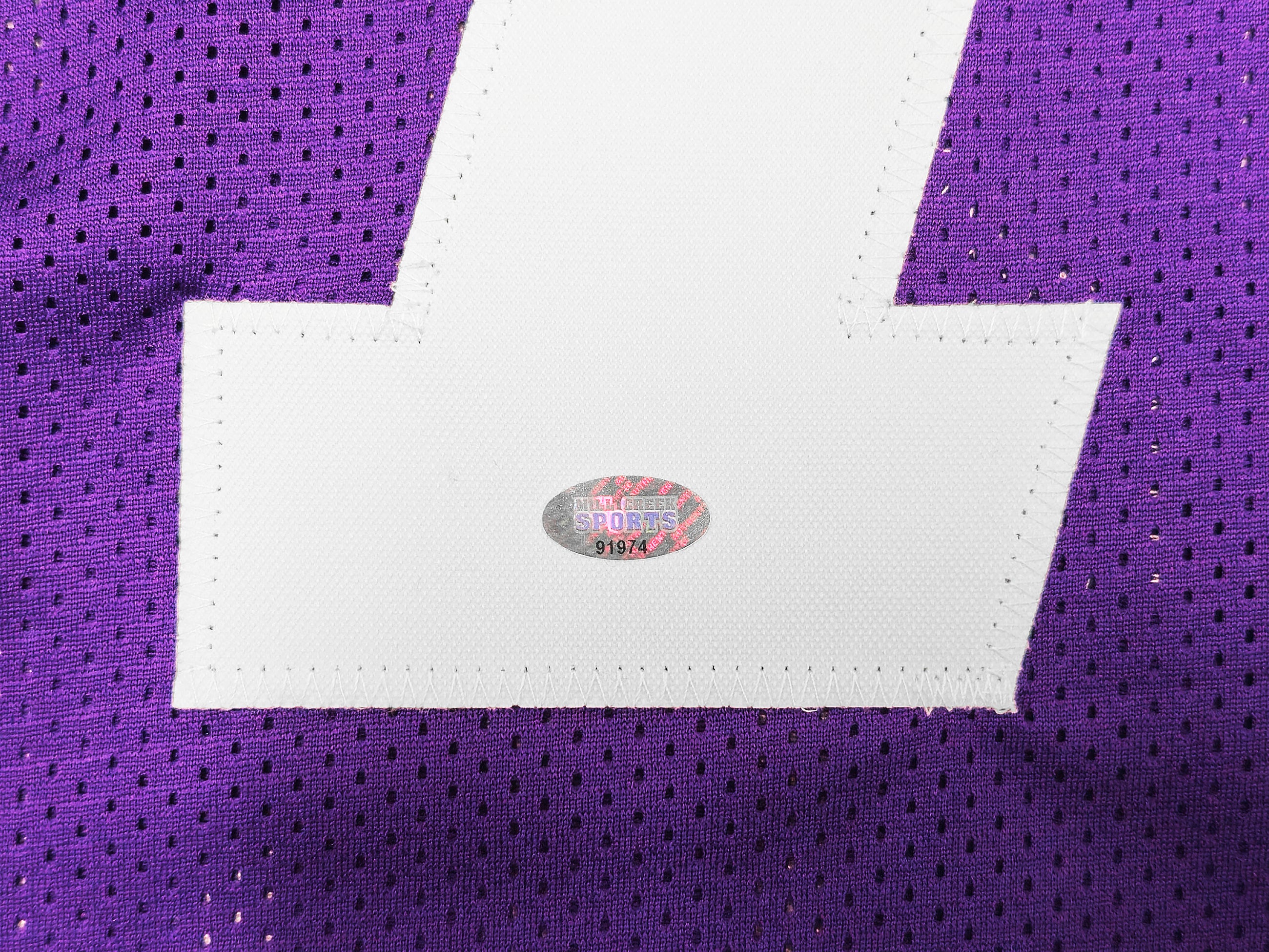 Washington Huskies Dillon Johnson Autographed Purple Jersey MCS Holo Stock #222081 - Image 5