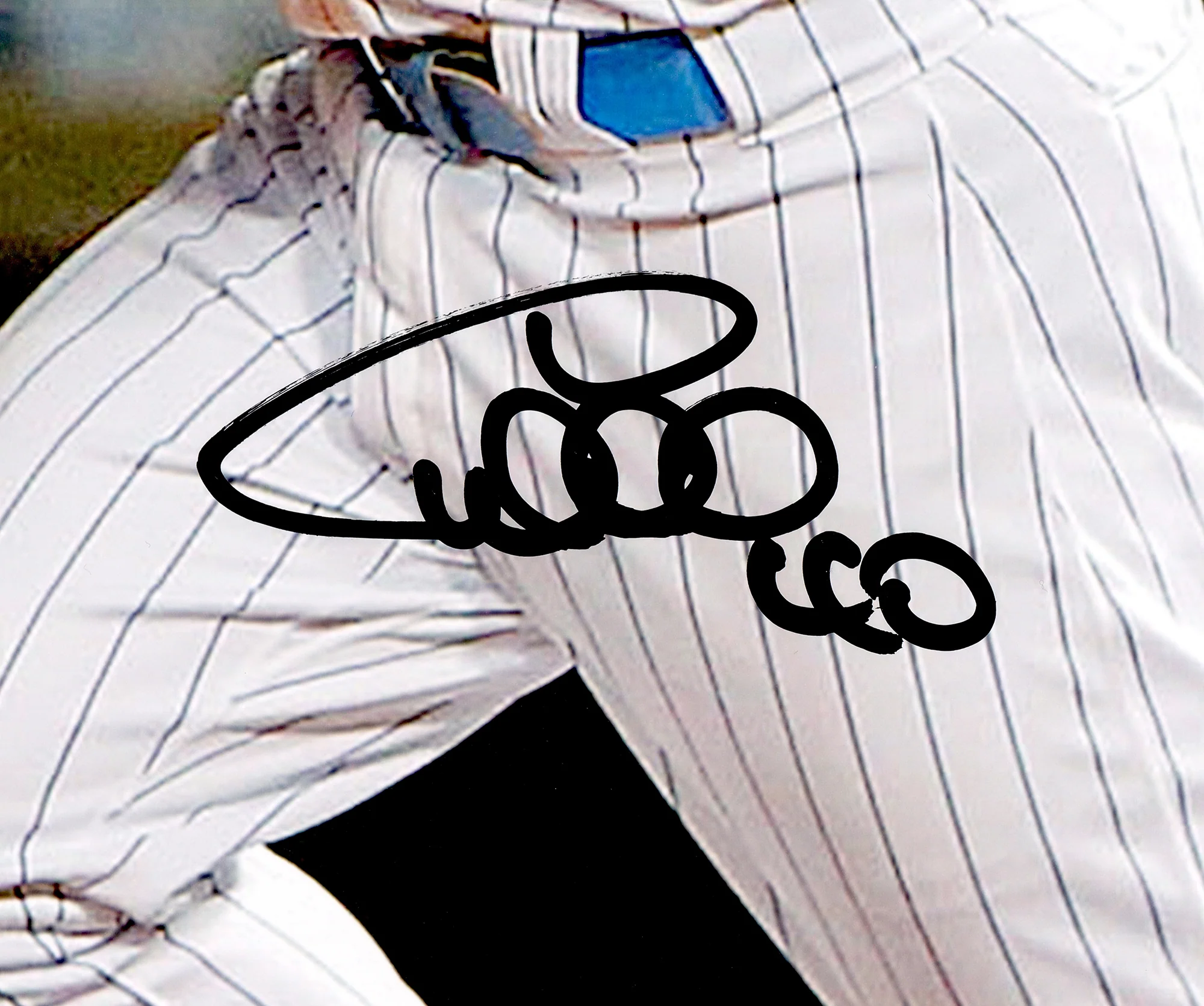 Willson Contreras Autographed 16x20 Photo Chicago Cubs WC Holo Stock #233353 - Image 2