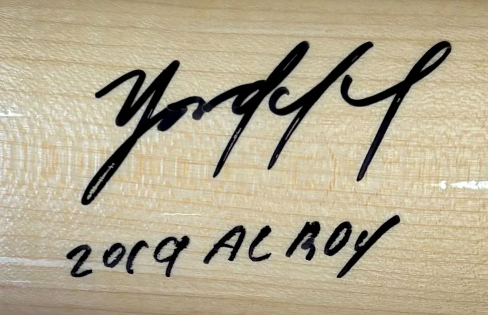 Yordan Alvarez Astros Signed Victus Tan Player Model Bat 2019 AL ROY BAS - Image 2